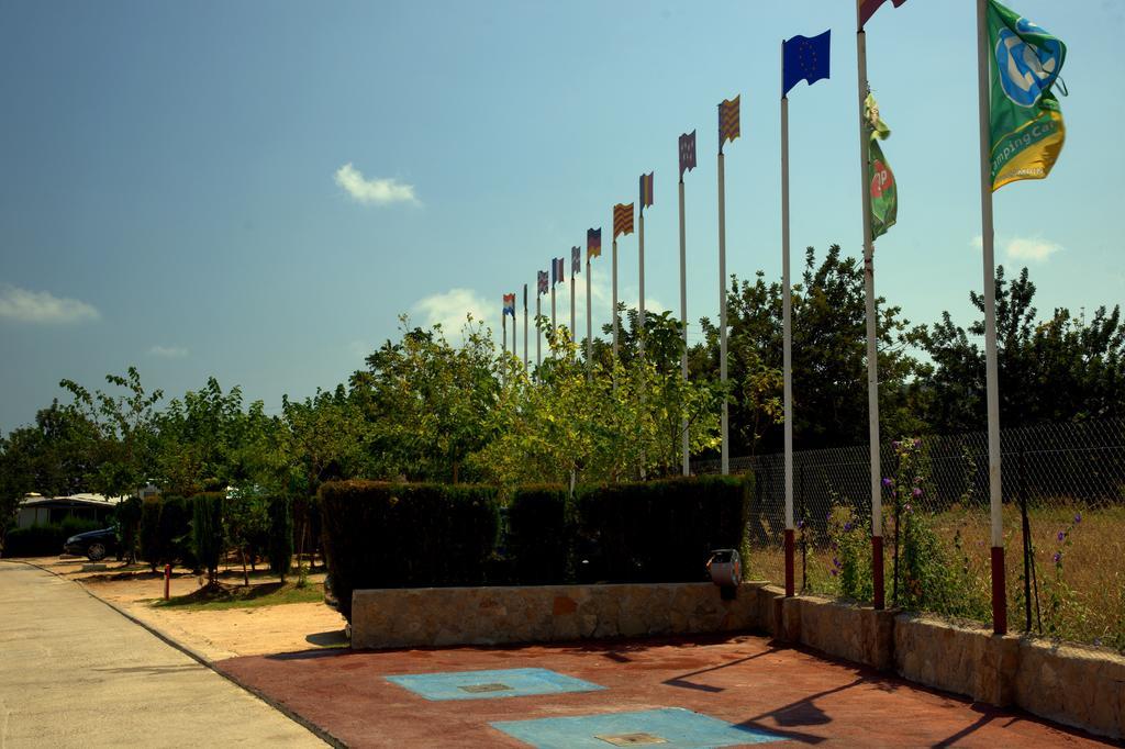 Pinos Peñíscola
